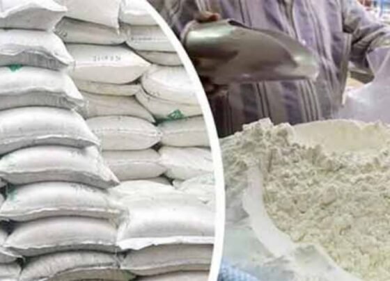 ملک میں آٹے کے 20 کلو تھیلے کی قیمت میں اضافہ