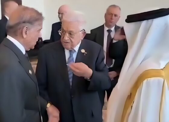 وزیراعظم شہباز شریف کی شرم الشیخ میں فلسطینی صدر سے ملاقات، جنگ بندی پر اظہار اطمینان