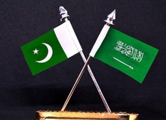 pak soudia flags