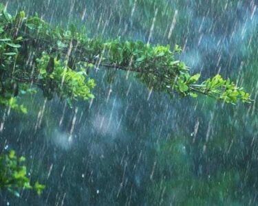 ملک کے مختلف شہروں میں گرج چمک کیساتھ بارش کی پیشگوئی