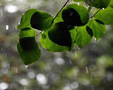 محکمہ موسمیات کی ملک کے مختلف حصوں میں بارش کی پیشگوئی