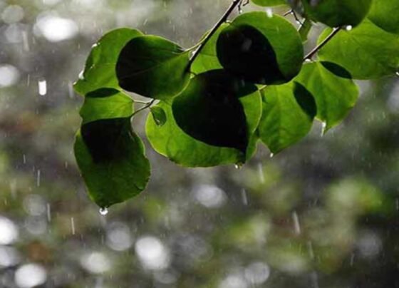 محکمہ موسمیات کی ملک کے مختلف حصوں میں بارش کی پیشگوئی