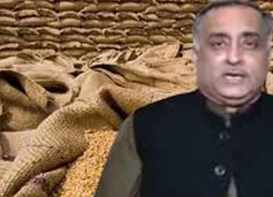 کسان اتحاد گندم قیمت