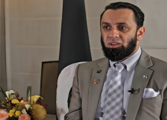 پاکستان تحریک انصاف ملک دشمن بیانیہ ترک کر کے ریاست و عوام کا مفاد مقدم رکھے، عطاء تارڑ