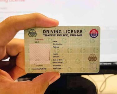 ڈرائیونگ لائسنس