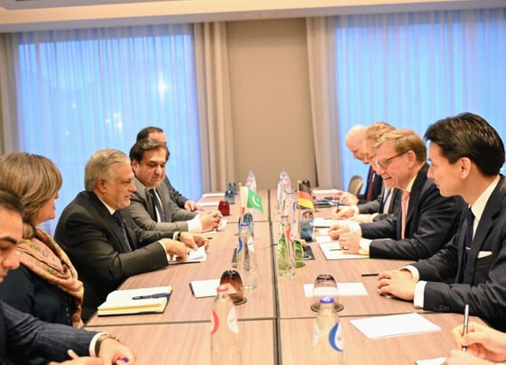 اسحاق ڈار فلسطین