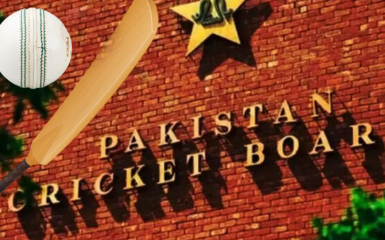 پی سی بی کا کرکٹرز