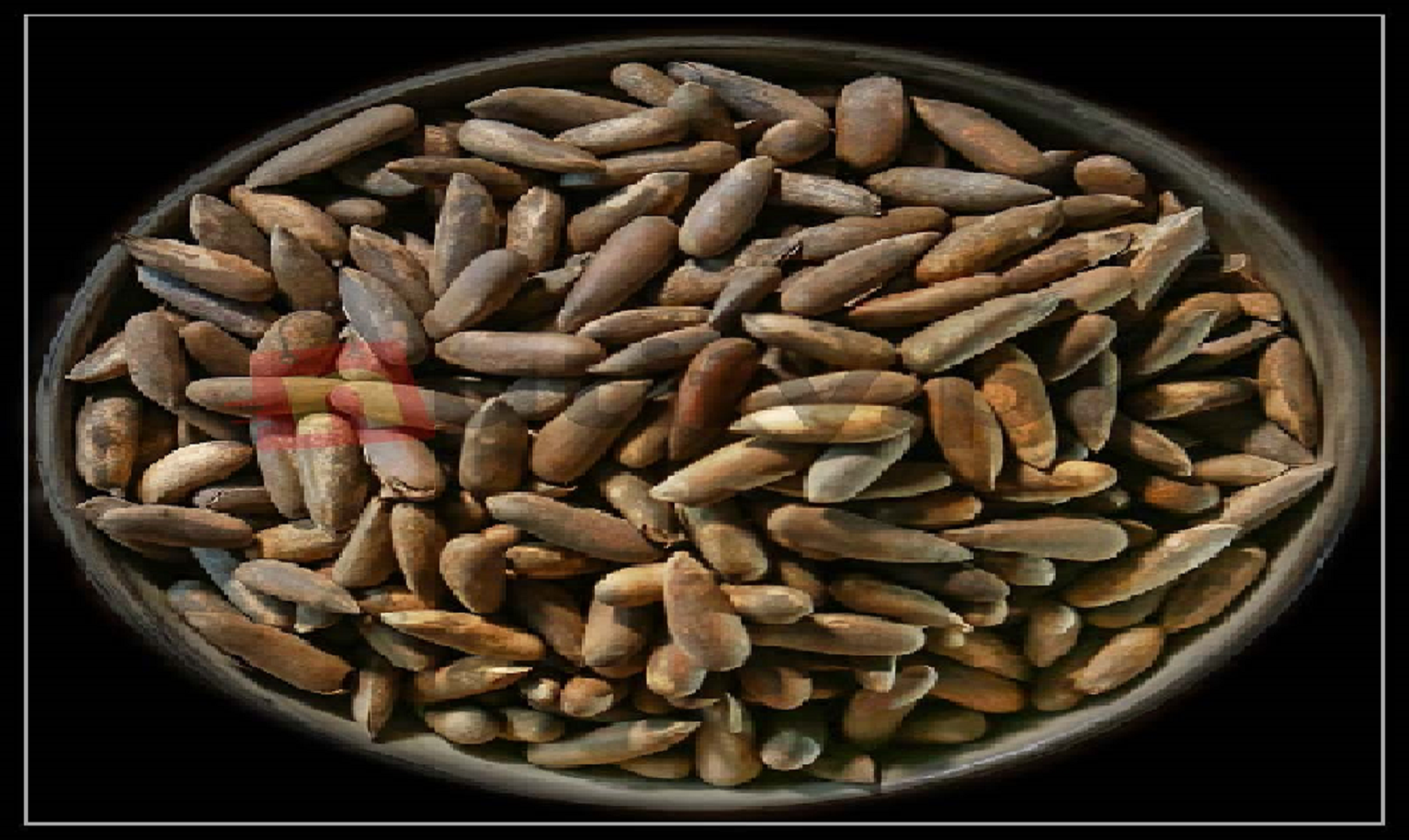 چلغوزے کی قیمت میں 50 سے 60 فیصد تک کمی ریکارڈ: تفصیل جانیئے