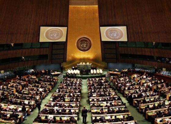 United Nations General Assembly