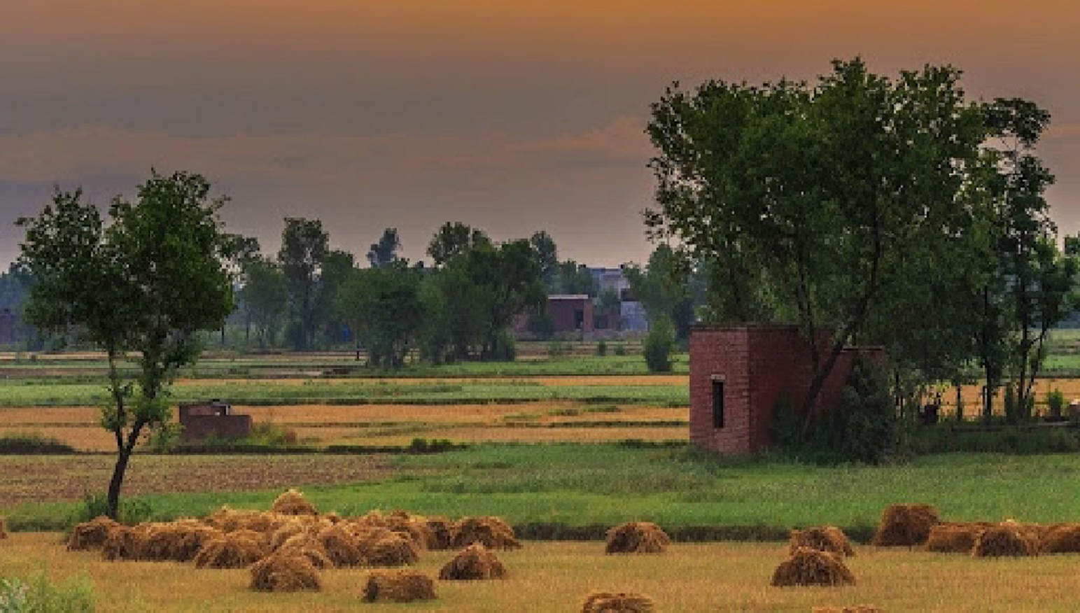 حکومت پنجاب کا عوام کےلیے مثالی گاؤں پروگرام کا آغاز : کیا کیا سہولتیں مہیا کی جائیں گی؟