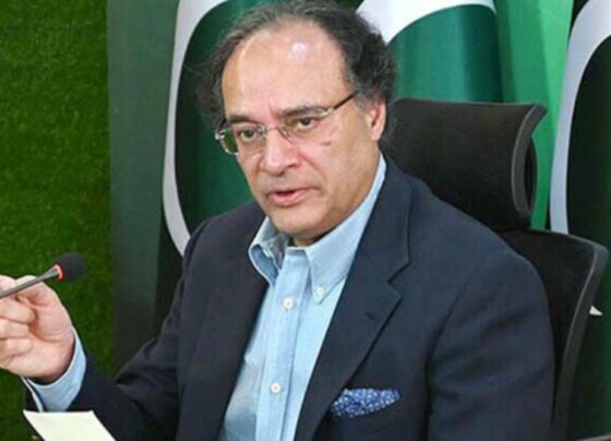 تجارت اور سرمایہ کاری میں اضافہ ملک کو پائیدار ترقی کیجانب لے جائیگا ، وزیر خزانہ