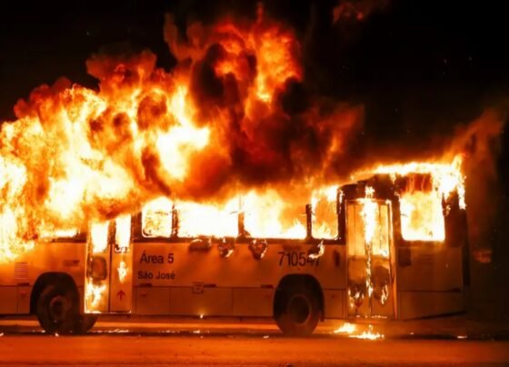 سعودی عرب : بھارتی عمرہ زائرین کی بس کو حادثہ، 42 افراد جاں بحق