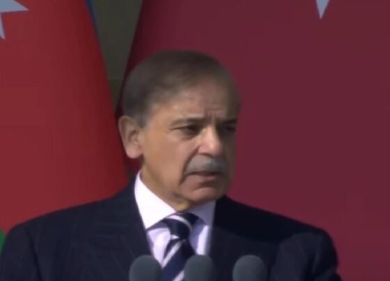 پاکستان، آذربائیجان اور ترکیہ کے دل ایک دوسرے کیساتھ دھڑکتے ہیں، وزیراعظم شہباز شریف