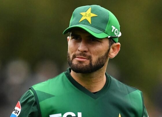 شاہین آفریدی نے شائقین کرکٹ سے بڑا مطالبہ کردیا