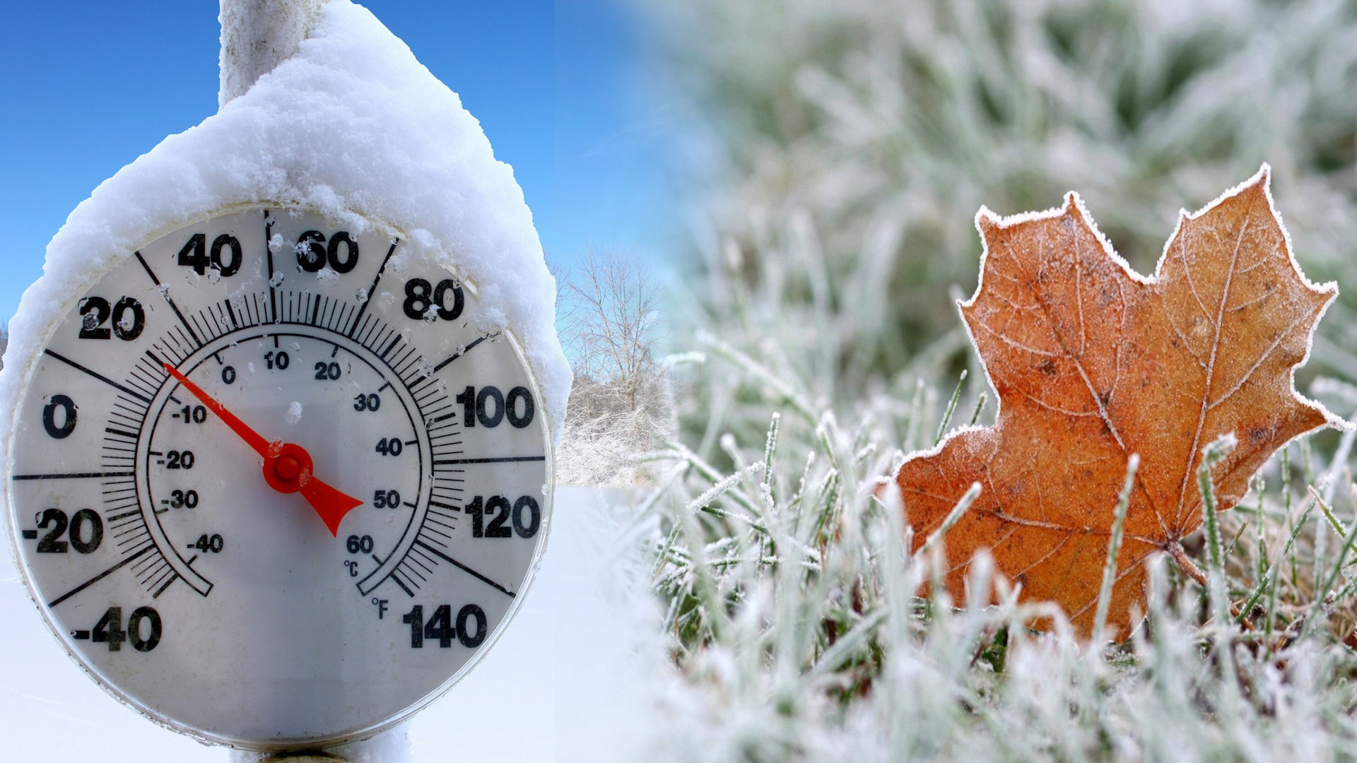 شدید سردی کی نئی لہر، کئی مقامات پر درجہ حرارت نقطۂ انجماد سے نیچے گر گیا، شہریوں کے لیے انتباہ