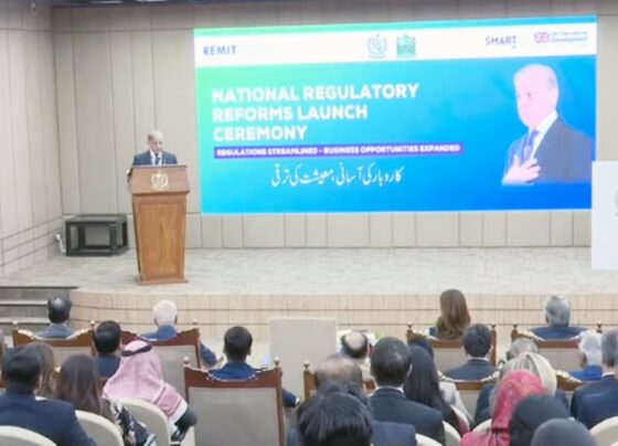 پاکستان معاشی طور پر بحران سے نکل چکا ہے , وزیراعظم شہباز شریف