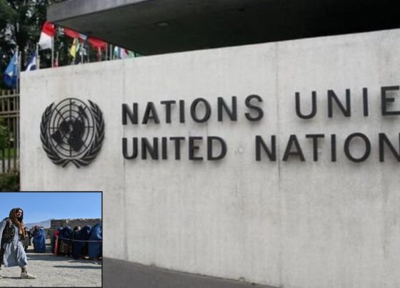 طالبان رجیم نے افغانستان کی معیشت کو تباہ کردیا ، اقوام متحدہ کی تشویشناک رپورٹ