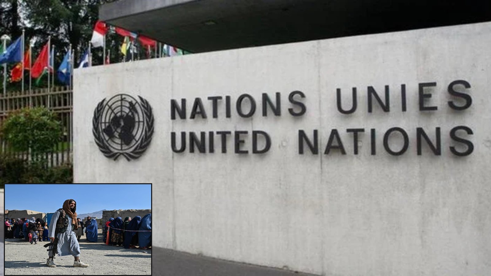 طالبان رجیم نے افغانستان کی معیشت کو تباہ کردیا ، اقوام متحدہ کی تشویشناک رپورٹ