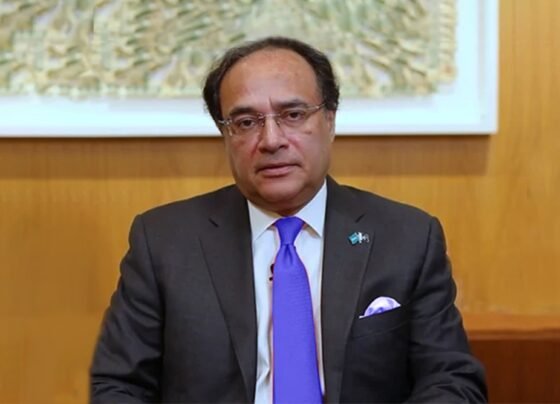 عالمی سرمایہ کاروں کا اعتماد بحال، ملک برآمدات پرمبنی ترقی کی راہ پر گامزن ہوچکا ہے، وزیر خزانہ