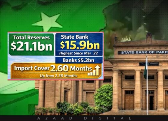 ملکی معیشت میں ایک اور سنگ میل، پاکستان کے زرمبادلہ ذخائر مارچ 2022 کے بعد بلند ترین سطح پر پہنچ گئے