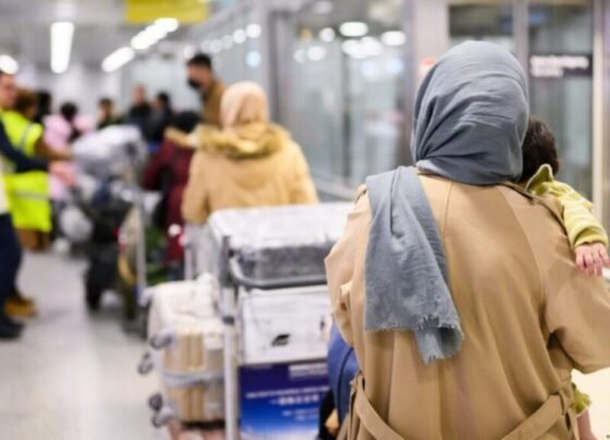 جرمن حکومت کا افغان پناہ گزین پروگرام فوری طور پر ختم کرنے کا اعلان