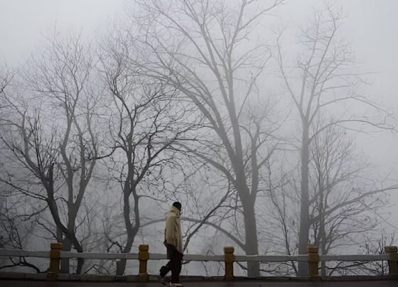 ملک کے مختلف علاقوں میں آج موسم کیسا رہے گا؟ محکمہ موسمیات نے بتادیا