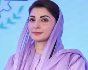 قانون کی معطلی سے قبضہ مافیا کو فائدہ ملے گا، مریم نواز کا عدالتی فیصلے پر ردعمل آگیا