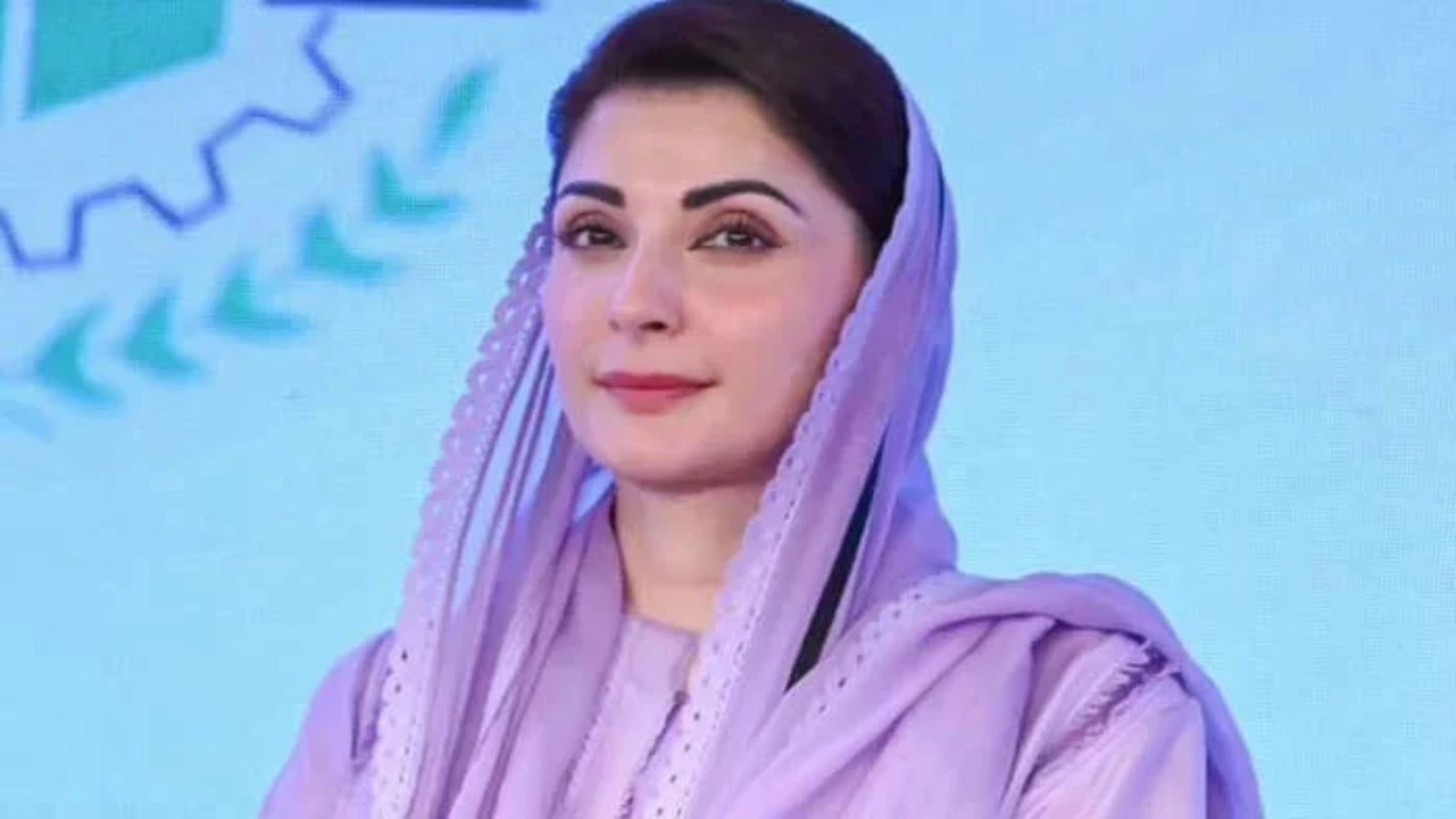 قانون کی معطلی سے قبضہ مافیا کو فائدہ ملے گا، مریم نواز کا عدالتی فیصلے پر ردعمل آگیا