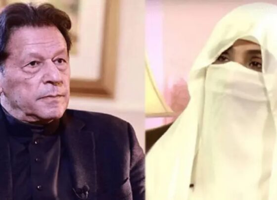 توشہ خانہ ٹو کیس : عمران خان، بشریٰ بی بی کو 10 ،10 سال قید کی سزا