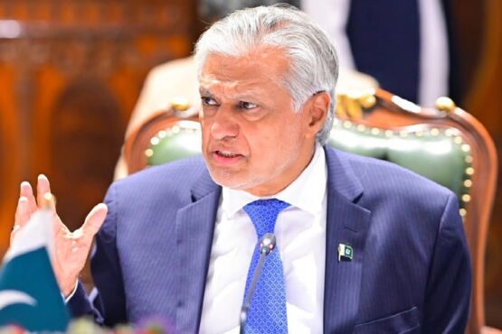 بھارت معاہدے کو منظم انداز میں کمزور کرنے کی کوشش کررہا، ہم آبی حقوق پر کوئی سمجھوتہ نہیں کرینگے ، نائب وزیراعظم