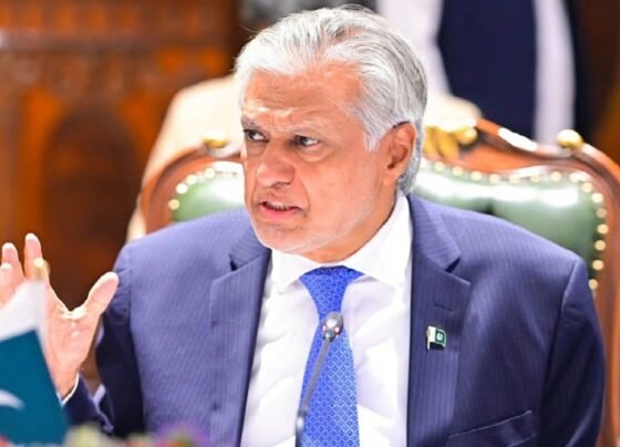 بھارت معاہدے کو منظم انداز میں کمزور کرنے کی کوشش کررہا، ہم آبی حقوق پر کوئی سمجھوتہ نہیں کرینگے ، نائب وزیراعظم