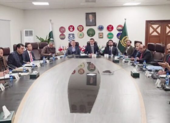 حکومت کا جعلی دستاویزات پر بیرونِ ملک جانیوالے مسافروں کیخلاف اقدامات سخت کرنیکا فیصلہ