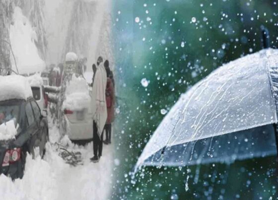 ملک میں مزید سردی یا بارشیں ؟ محکمہ موسمیات کی پیشگوئی آگئی