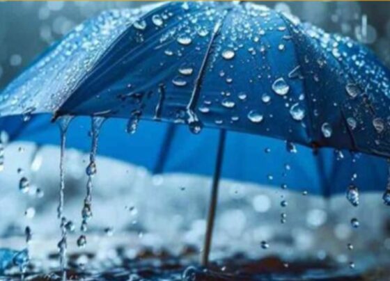 ملک کے بیشتر حصوں میں سردی کی لہر برقرار، بارش سے متعلق بڑی پیشگوئی