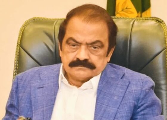 عمران خان افراتفری چاہتے ہیں لیکن سیاست اور جمہوریت مذاکرات سے آگے بڑھتی ہے : رانا ثناء