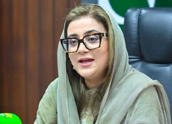 عظمیٰ بخاری سے منسوب فیک ویڈیو کیس، فلک جاوید اور دیگر پر فردِ جرم عائد