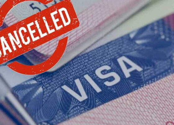 ویزے کینسل