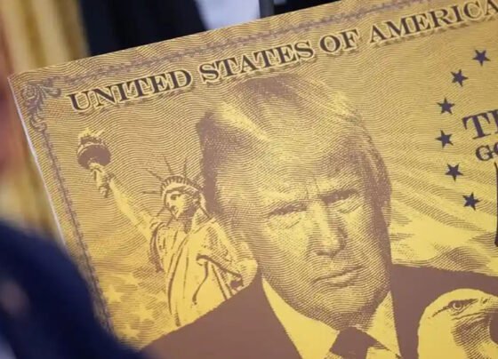 ٹرمپ گولڈ کارڈ ویزا اسکیم