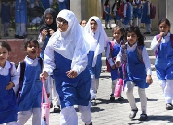 پرائیویٹ سکولز