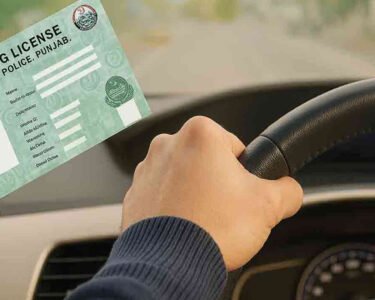 ڈرائیونگ لائسنس