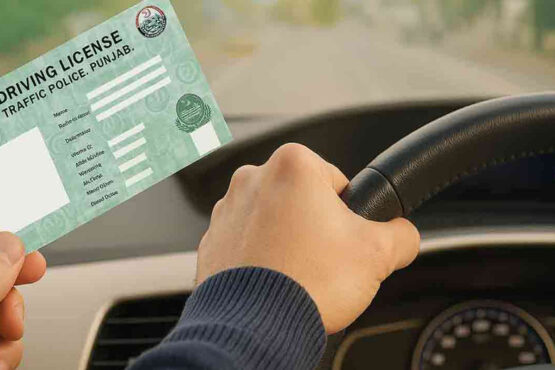 ڈرائیونگ لائسنس