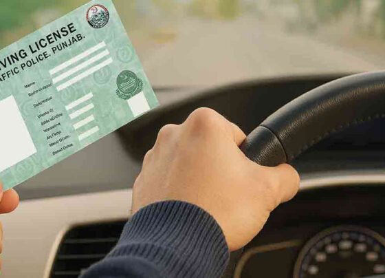 ڈرائیونگ لائسنس