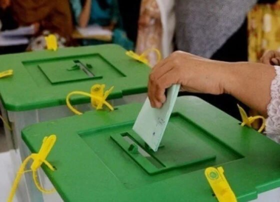 ضمنی الیکشن