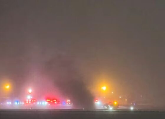 امریکا میں نجی طیارہ گر کر تباہ، 8 افراد سوار تھے