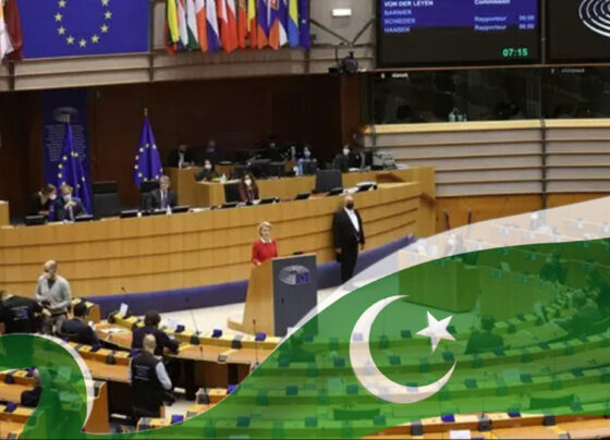 یورپین پارلیمنٹ کا پاکستانی شہریوں