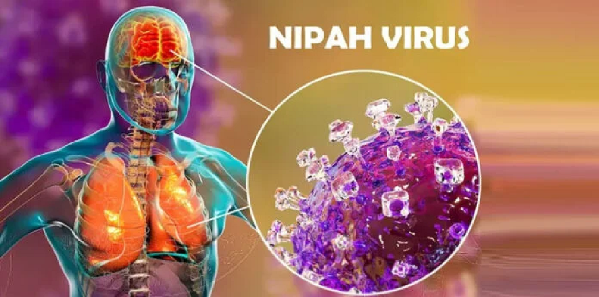 نیپاہ وائرس کیسے پھیلتا ہے اور اسکی علامات کیا ہیں؟ محکمہ صحت کی ایڈوائزری جاری