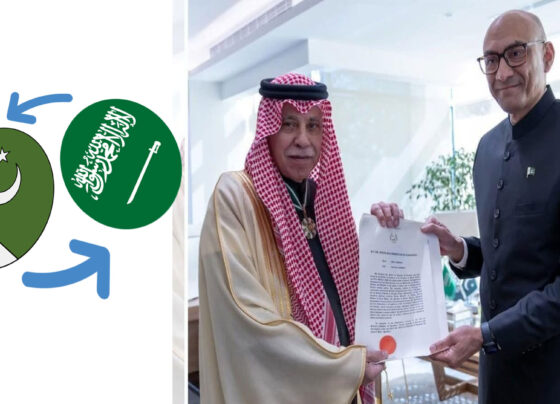 ماجد القصبی