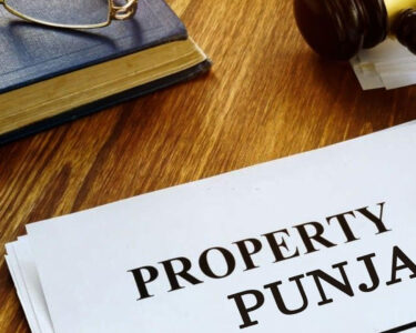 پنجاب حکومت اراضی، زمین