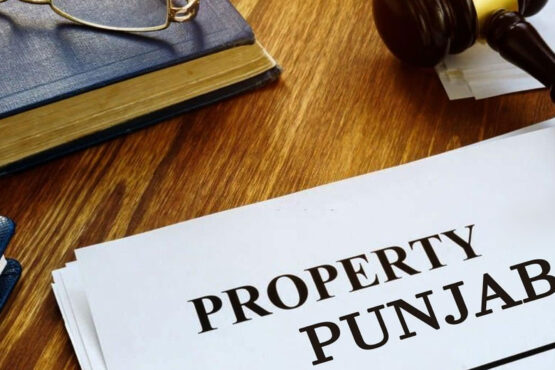 پنجاب حکومت اراضی، زمین