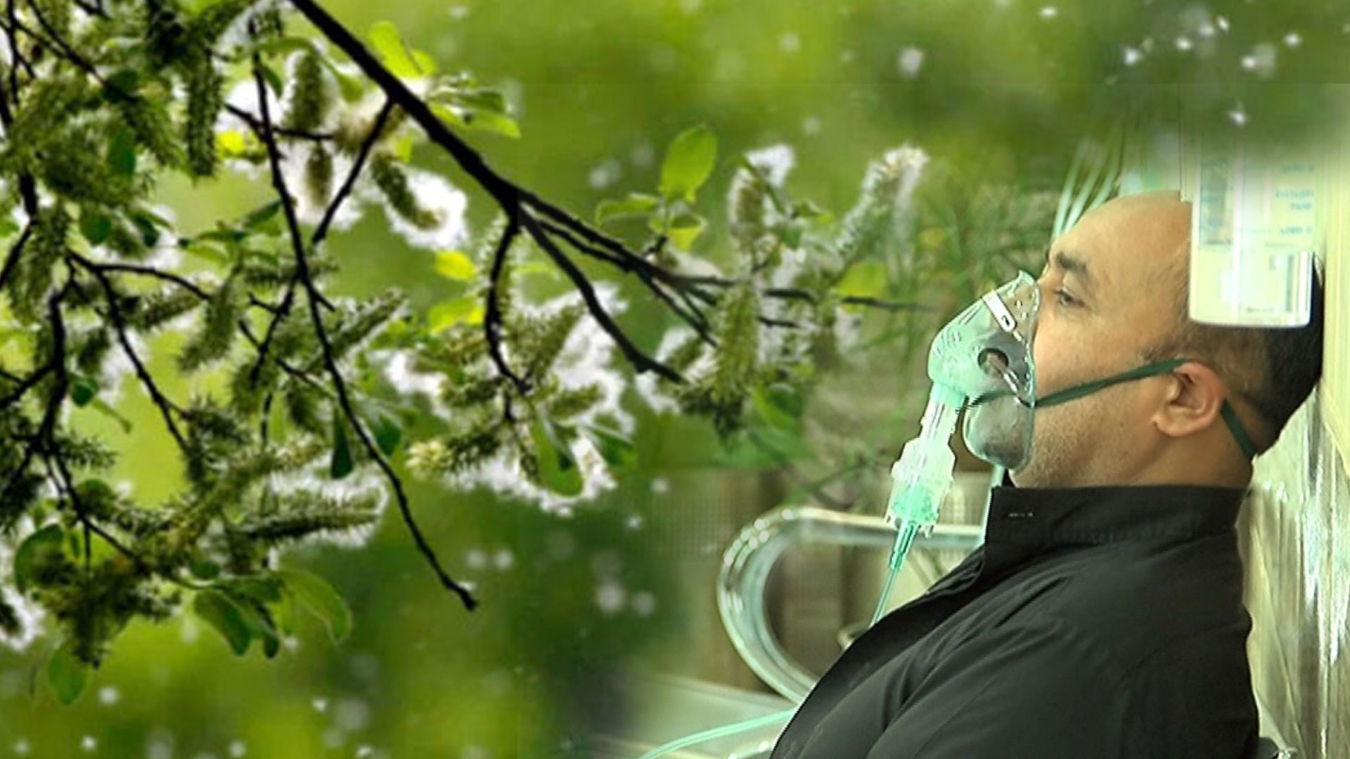 پولن الرجی کے خلاف حکومت کی جامع حکمت عملی اور تاریخی مہم، مثبت نتائج سامنےآگئے